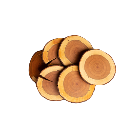 Podkładki Na Stół ◎ Czeremcha ◎ Okorowane ◎ Olejowane ◎ ø 12-15 cm ◎ 6 sztuk