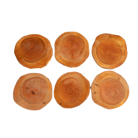 Podkładki Na Stół ◎ Czeremcha ◎ Okorowane ◎ Olejowane ◎ ø 12-15 cm ◎ 6 sztuk