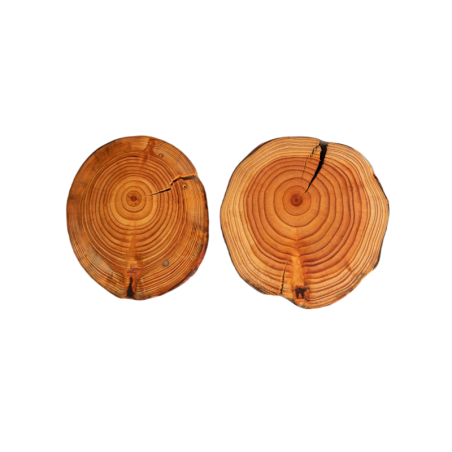 Podkładki na Stół  z Modrzewia ◎ Okorowane i Olejowane ◎ ø 12-15 cm ◎ 2 sztuki