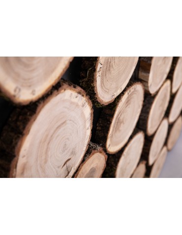 plastry drewna na ścianę