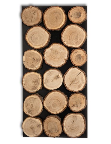 dębowe plastry drewna dębowe plastry drewna