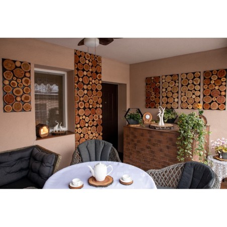 salon w stylu rustykalnym