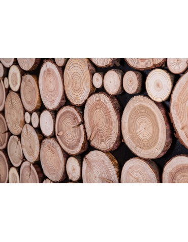 drewniane dekoracje ścian