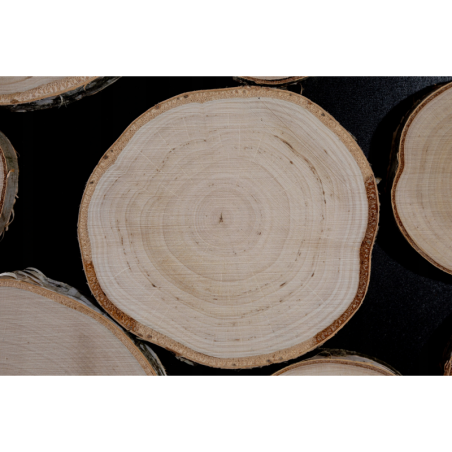 Ozdobny Panel Ścienny ⭑ Plastry Brzozowe ⭑ 1 sztuka