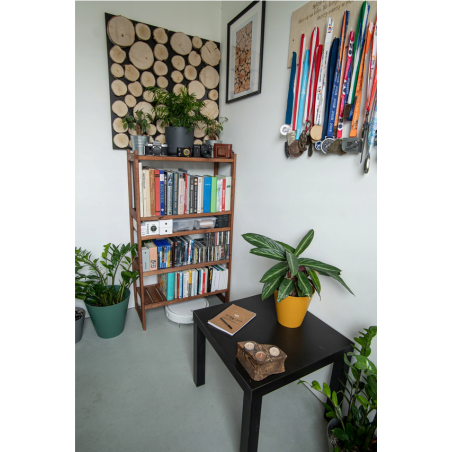 Ozdobny Panel Ścienny ⭑ Plastry Brzozowe ⭑ 1 sztuka