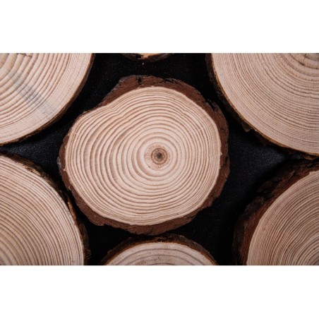 Ozdobny Panel Ścienny ⭑ Plastry Sosnowe ⭑ 1 sztuka