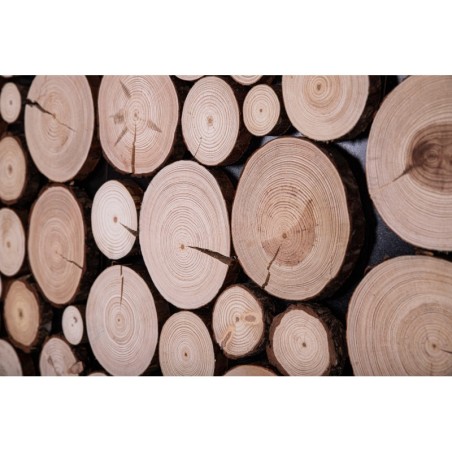 Ozdobne Panele Ścienne ⭑ Plastry Sosnowe ⭑ 2 sztuki