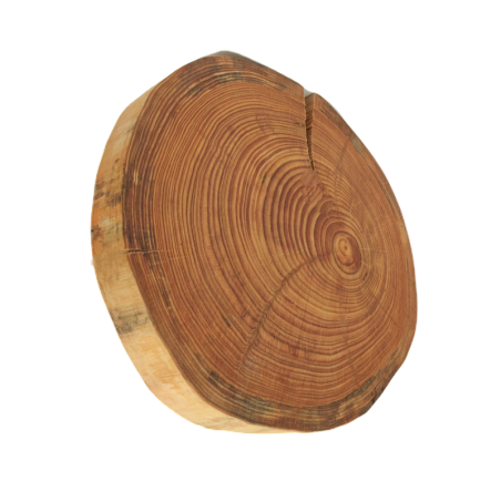 Taca obrotowa ◎ Modrzew ◎ Średnica 30-35 cm