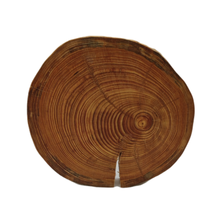 Taca obrotowa ◎ Modrzew ◎ Średnica 20-25 cm