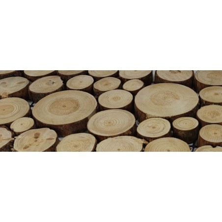 Panel ogrodowy na ścieżkę ▪ Okrągłe plastry drewna z korą