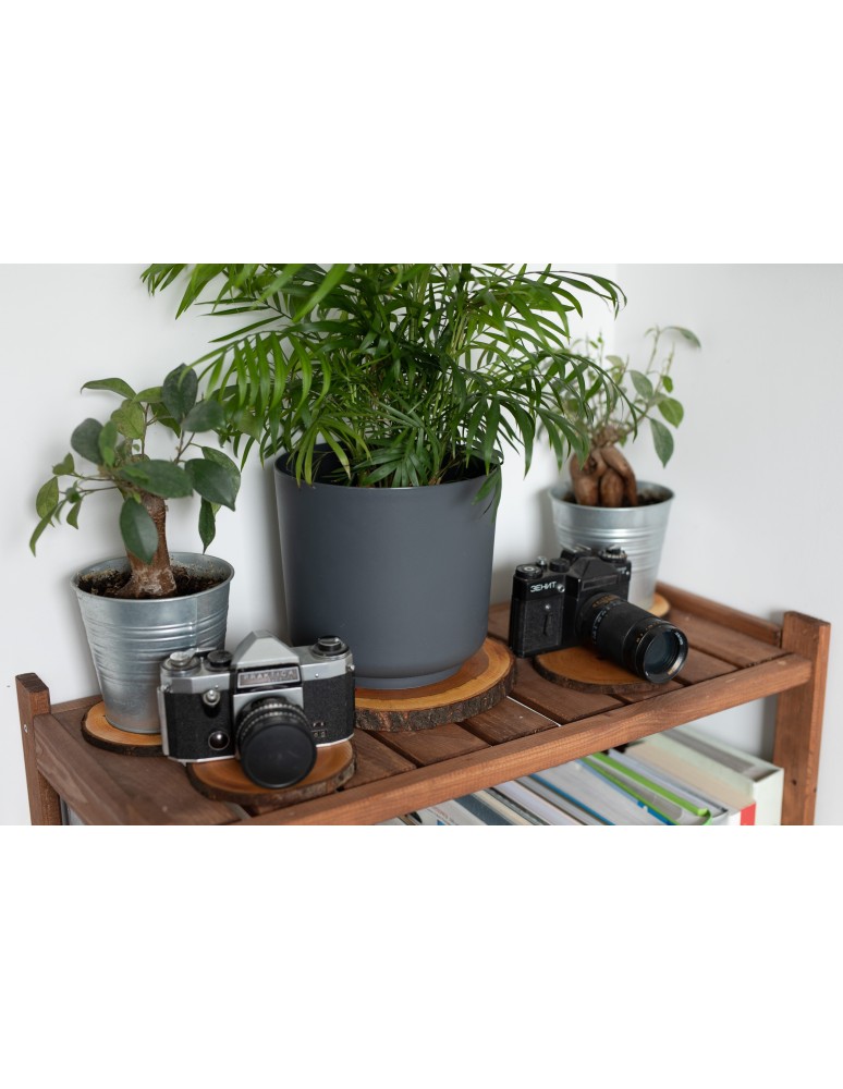 Plastry Okrągłe - Plaster Drewna Sosnowego ⚪ Grubość 5 cm ⚪ Średnica 30-35 cm ⚪ Oszlifowany i Okorowany - product MODO24.PL 5