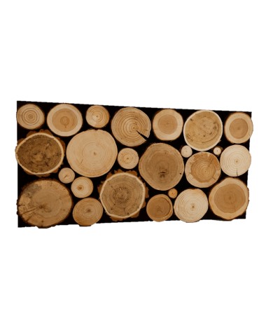 Panel Ścienny ⭑ Przekrój Polskich Lasów ⭑ 1 sztuka - product 2