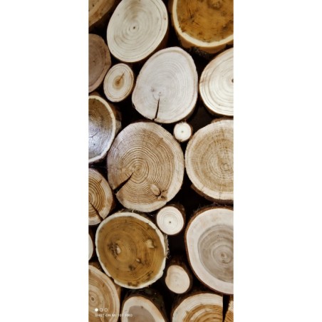 Panel Ścienny ⭑ Przekrój Polskich Lasów ⭑ 1 sztuka