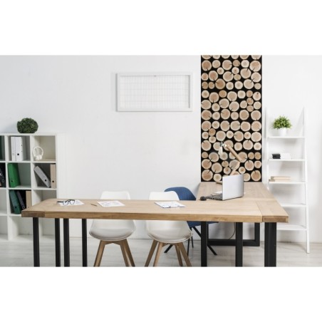 Panel Ścienny ⭑ Przekrój Polskich Lasów ⭑ 2 sztuki