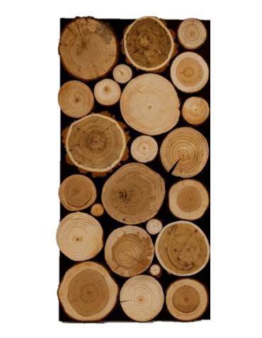 Przekrój polskich lasów - product 2