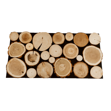 Panel Ścienny ⭑ Przekrój Polskich Lasów ⭑ 4 sztuki