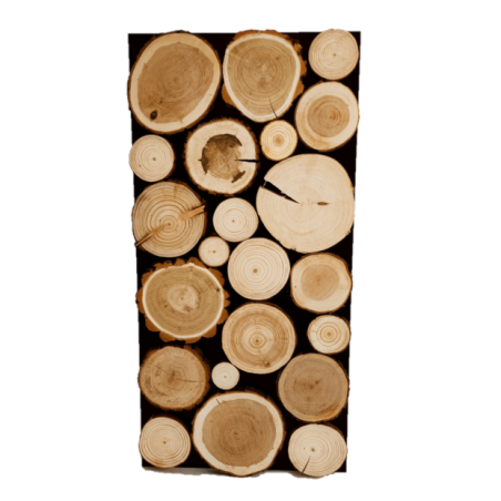 Panel Ścienny ⭑ Przekrój Polskich Lasów ⭑ 4 sztuki