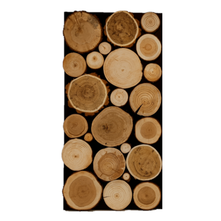 Panel Ścienny ⭑ Przekrój Polskich Lasów ⭑ 4 sztuki