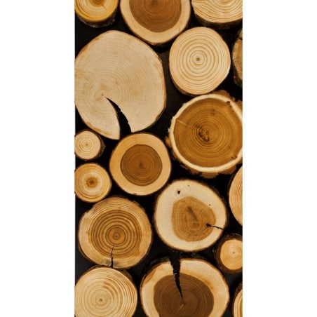 Panel Ścienny ⭑ Przekrój Polskich Lasów ⭑ 4 sztuki