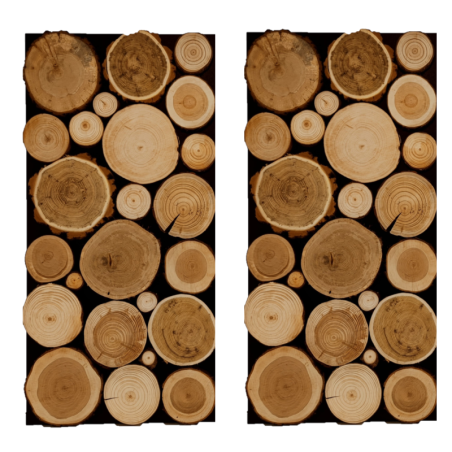 Panel Ścienny ⭑ Przekrój Polskich Lasów ⭑ 2 sztuki