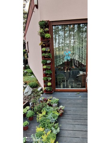 Kwietniki i donice - Ogród Wertykalny RD-8 2x2 12cm olcha - product 9