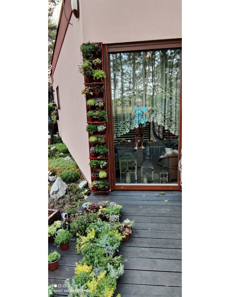 Kwietniki i donice - Ogród Wertykalny RD-8 2x2 12cm olcha - product MODO24.PL 9