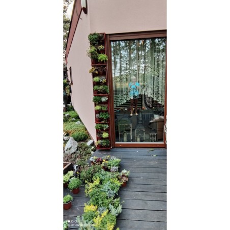 Ogród Wertykalny RD-8 2x2 12cm olcha