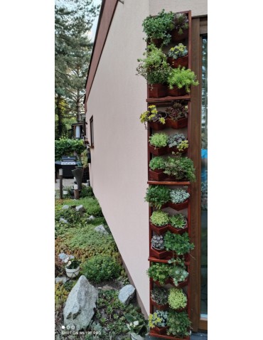 Kwietniki i donice - Ogród Wertykalny RD-8 2x2 12cm olcha - product 10
