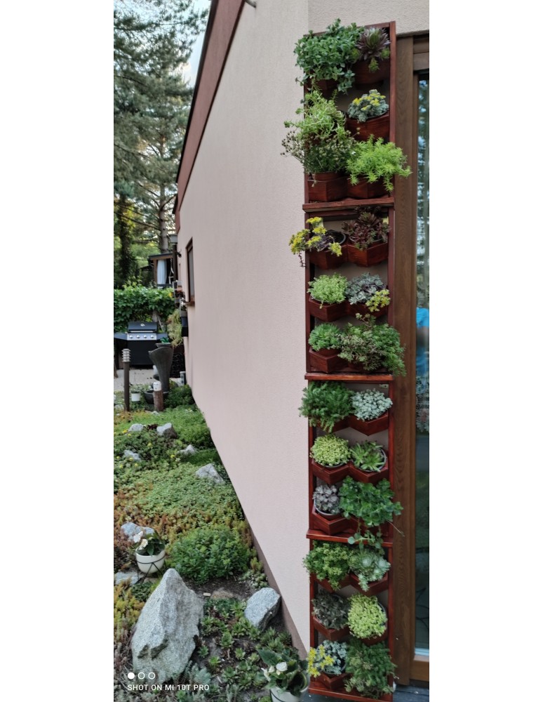 Kwietniki i donice - Ogród Wertykalny RD-8 2x2 12cm olcha - product MODO24.PL 10