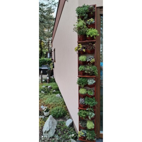 Ogród Wertykalny RD-8 2x2 12cm olcha