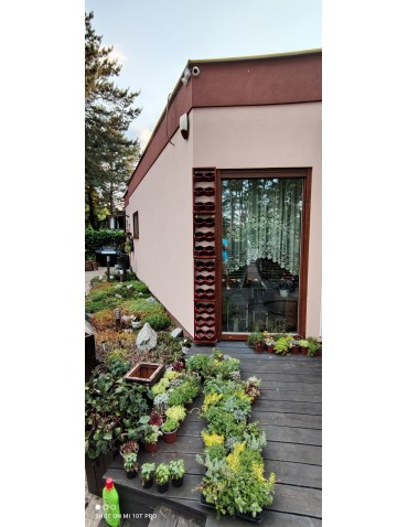 Kwietniki i donice - Ogród Wertykalny RD-8 2x2 12cm olcha - product 11