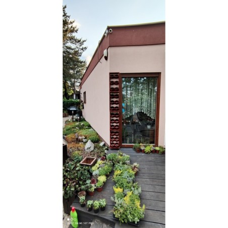 Ogród Wertykalny RD-8 2x2 12cm olcha