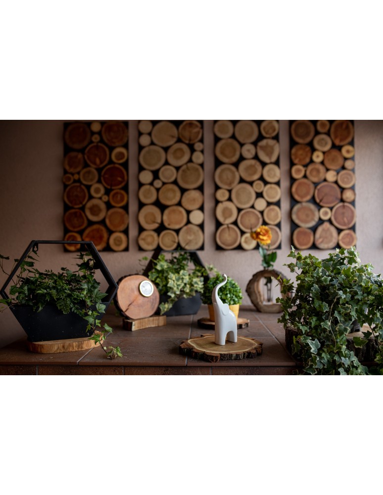 Zestawy Podkładek Na Stół - Podkładki Na Stół ◎ Czeremcha  ◎ Olejowane ◎ ø 9-12 cm ◎ 2 sztuki - product MODO24.PL 6