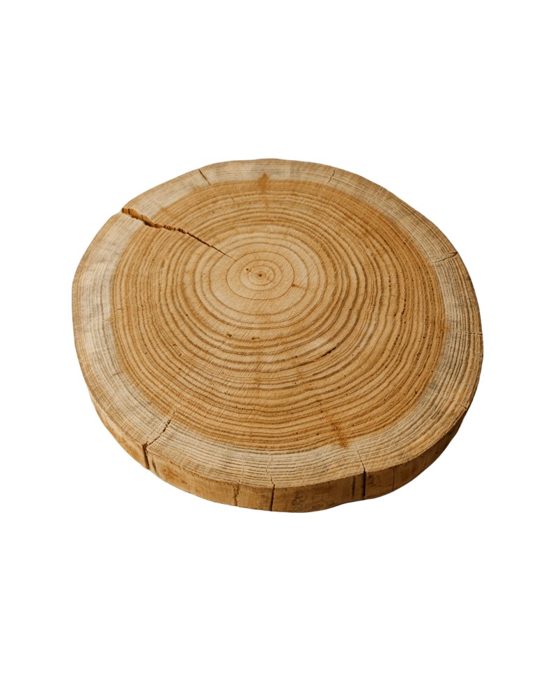 Plastry Okrągłe - Plaster drewna - fi 20-25 cm - Modrzew, gr 3,0 cm - produkt MODO24.PL 1