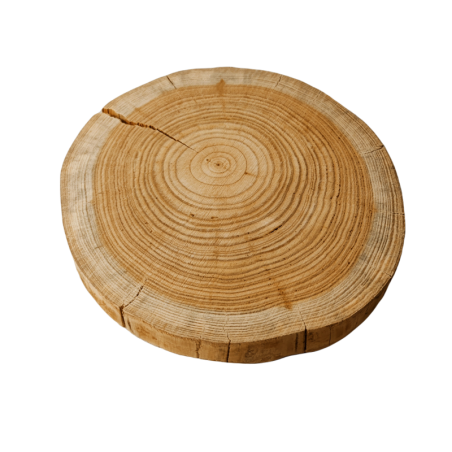 Plaster drewna - fi 20-25 cm - Modrzew, gr 3,0 cm