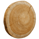 Plaster drewna - fi 20-25 cm - Modrzew, gr 4,0 cm