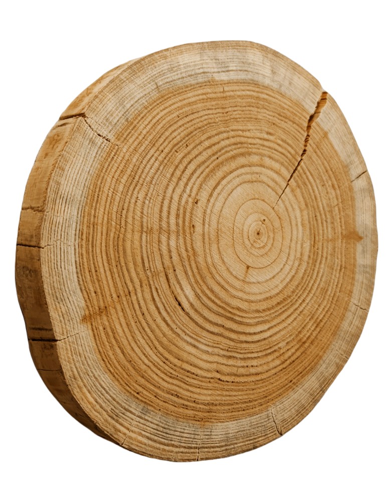Plastry Okrągłe - Plaster drewna - fi 20-25 cm - Modrzew, gr 4,0 cm - produkt MODO24.PL 1