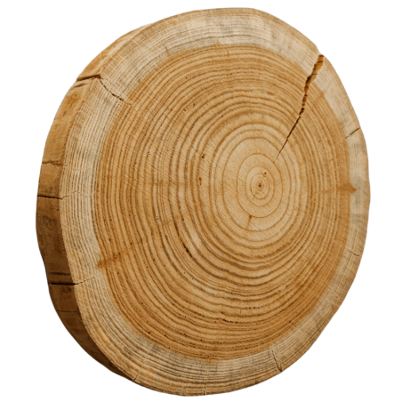 Plaster drewna - fi 20-25 cm - Modrzew, gr 4,0 cm
