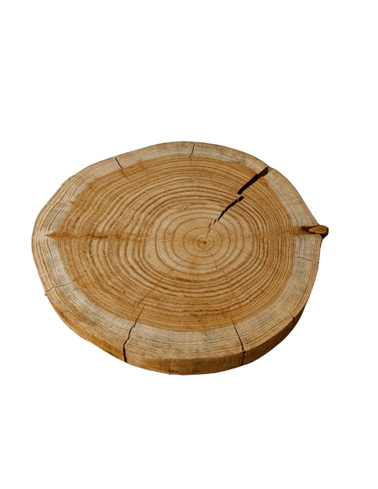 Plastry Okrągłe - Plaster drewna - fi 25-30 cm - Modrzew, gr 4,0 cm - product MODO24.PL 1