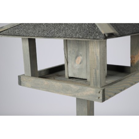 ptaki w karmniku zimą