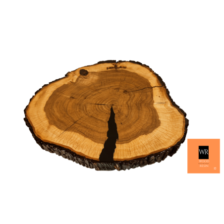 Jesionowy Stolik lub Blat ⭖ Ash Angel ⭖ Wysoki Połysk ⭖ 61x58,5x5,5 cm