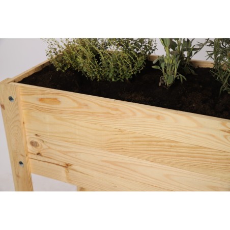 Zielnik Rozsadnik Warzywniak na Nóżkach ▪ Z Półką ▪ 82x80x37 cm