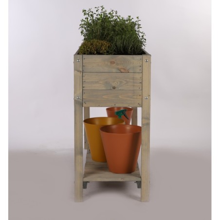 skrzynka na poziomki