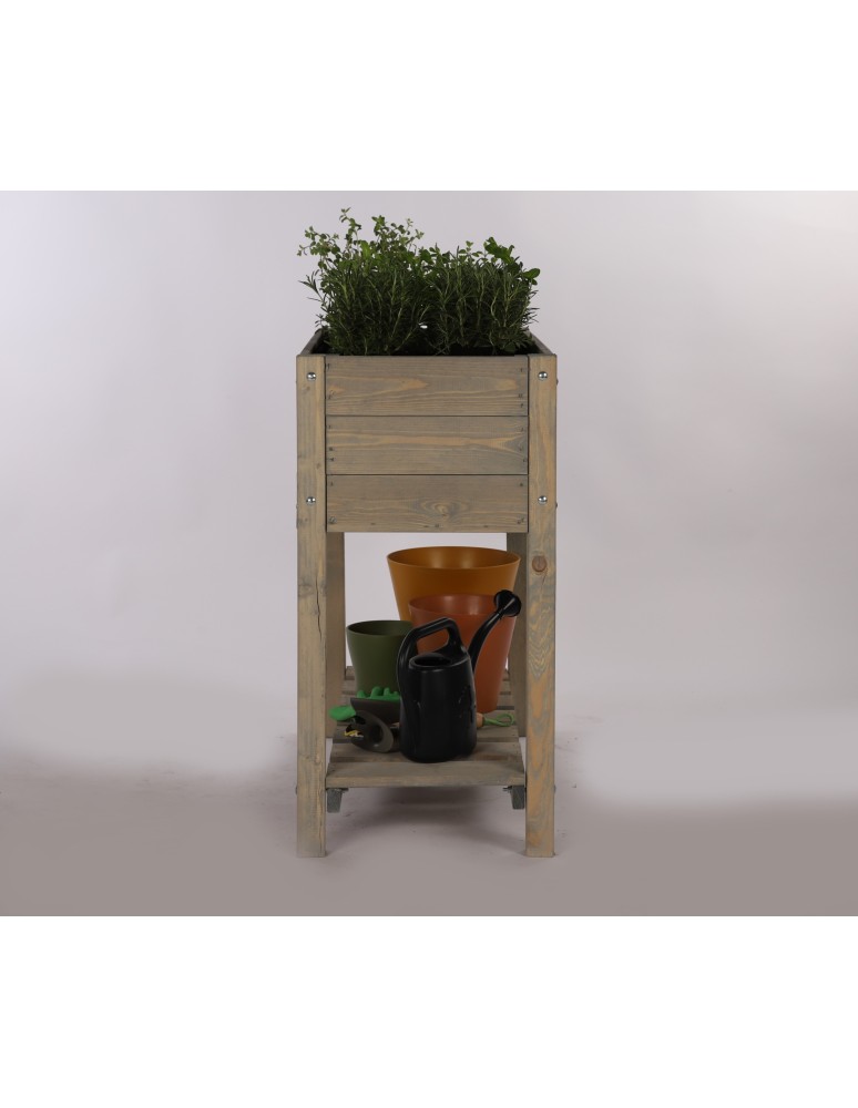 inspekt na rozsady inspekt na rozsady