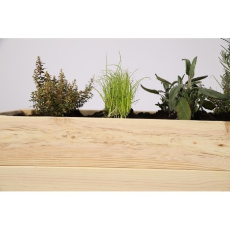 Inspekt do Uprawy Warzyw i Ziół ▪ z Półką ▪ 78x40x78 cm ▪ Poj.  66,5 l