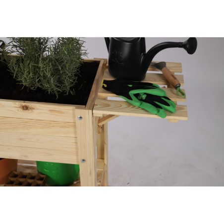 Inspekt z Hotelem dla Owadów ❦ Kopułą ❧ 2-ma półkami ❦ 78x37x115,4 cm