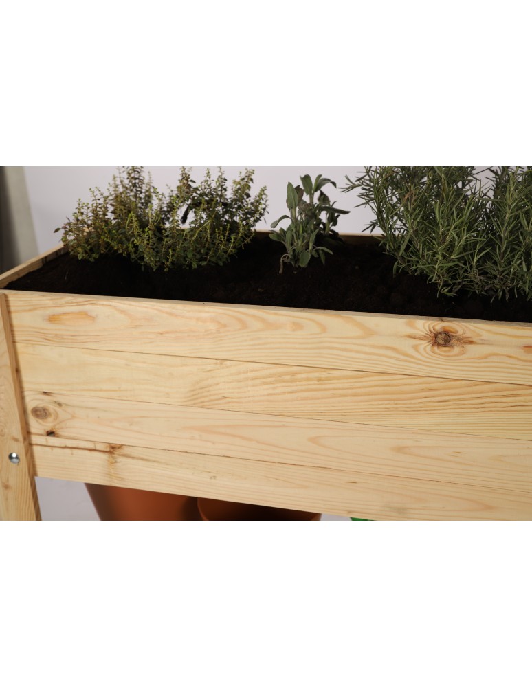 Kwietniki i donice - Inspekt z Hotelem dla Owadów ~ Kopuła Miniszklarnia ~ Półka Dolna ~ OBL Surowy - product MODO24.PL 7