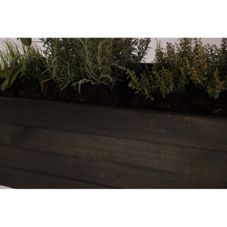 Czarny Inspekt z Hotelem dla Owadów ❦ Półki Boczna i Dolna ❦ 78x37x78