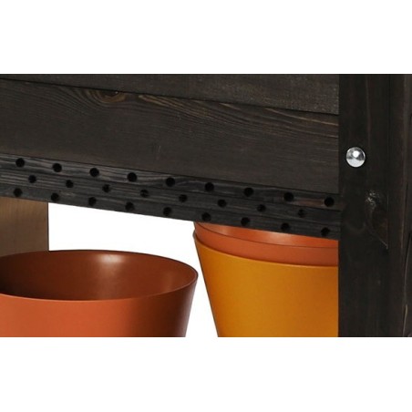 Czarny Inspekt z Hotelem dla Owadów ❦ Szklarnią Trapezową ❦ 2 Półkami