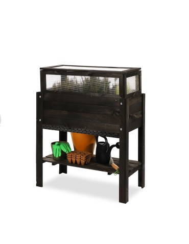 Inspekt z Hotelem dla Owadów ~  Kopuła Miniszklarnia ~ Półka Dolna ~ OBL Czarny